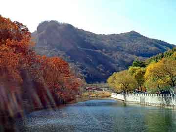 管家婆黑白马报图库，全本都市修真小说